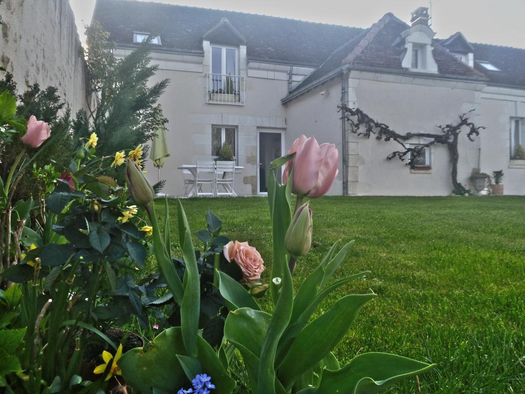 Villa Rosa Saint-Georges-sur-Cher Exterior photo