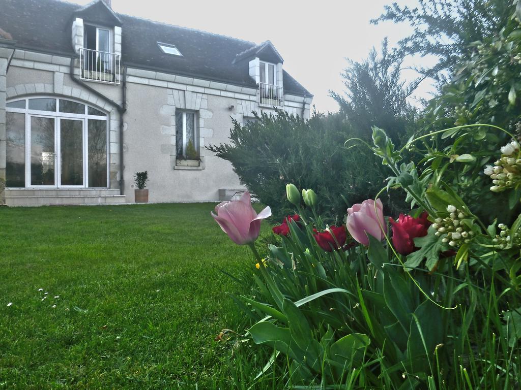 Villa Rosa Saint-Georges-sur-Cher Exterior photo